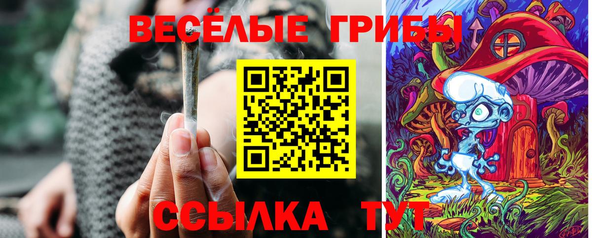 хочу   Вход с VPN  Кызыл  Псилоцибиновые грибы GOLDEN TEACHER 